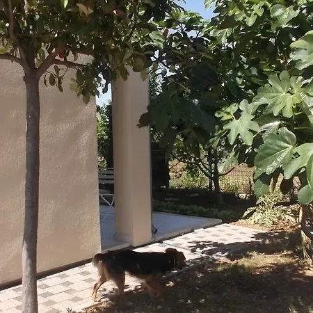 Seb
